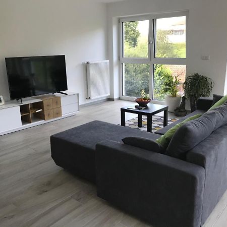 Ferienwohnung „Frosch“ Neukirchen-Balbini ภายนอก รูปภาพ